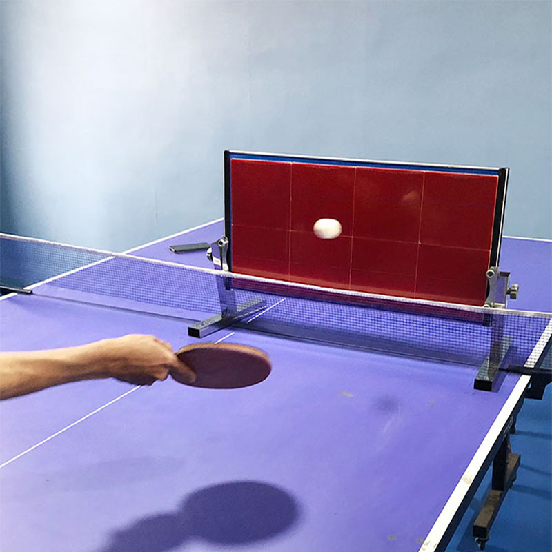 Home Table Tennis Rebound Boar - Table Tennis Hong Kong recension och pris